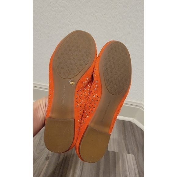 ANTONIO MELANI Flats - Picture 9 of 11